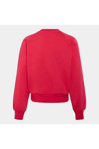Adidas Seasonals Collegiate Typography Çocuk Pembe Sweatshirt Ks5135