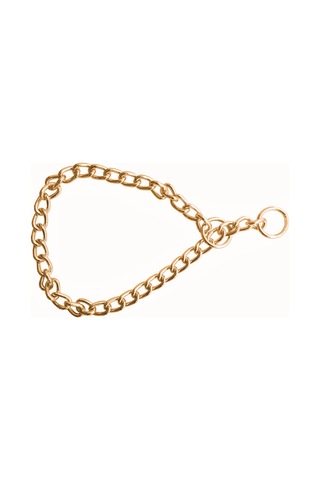 Eğitim Serisi Li Köpek Boyun Tasması 3,5x55 Cm - Gold