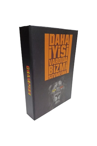 2025-687 Şampiyon Aslanlar