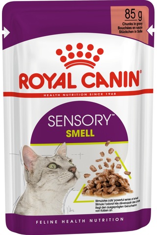 Fit32 2 Kg + Sensory Smell Gravy 85g 2 Adet Hediye