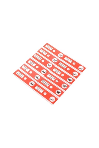 Ece Mikroskop Slayt Preparat Seti Başlangıç 12'li Böcekler