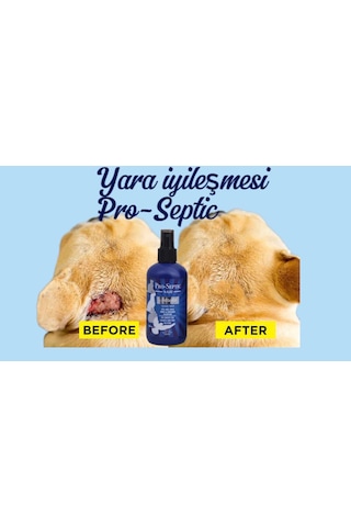 Pro-septic 250ml Doğal Antiseptik Doğal Hayvan Temizleme Yara Göz Kulak Silme Kedi Köpek Kuş Sağlığı Zararsız Sprey