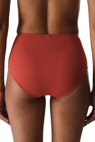 Penti Tarçın High Bikini Altı