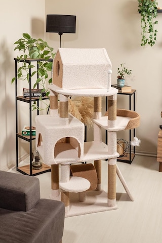 Luna Kedi Tırmalama Alanı