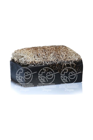 Sabuncu Baba Ardıç Katranlı Lifli Sabun