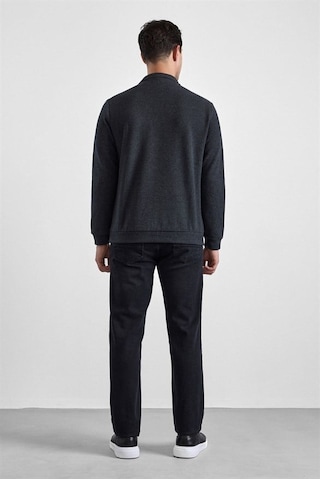 Süvari Antrasit Regular Düz Fermuarlı Polo Yaka Sweatshirt Sw2013700011-s08