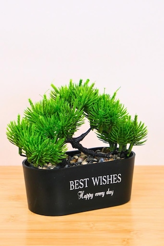 Digithome Dekoratif Kayık Saksılı Yapay Çam Ağacı Bonsai Siyah 16cm Eva-5829 C1-1-423