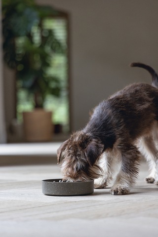 Beeztees Dbl Köpek Yavaş Besleme Mama Kabı, Bambu, Antrasit, 17cm