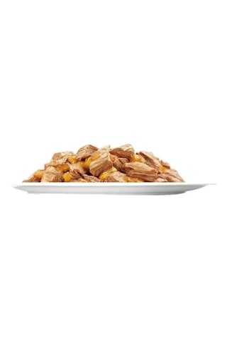 Sensations Junior Taze Jöle İçerisinde Sığır Etli Yavru Yaş Kedi Maması 1 Adet 85 Gr