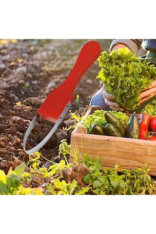 Trendooze Homyl Tarım Arazileri Bahçe Çim Yardımcısı Ot Kırmızı, Tarım Ürünleri