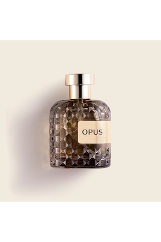 Mad Opus Erkek Parfüm EDP 100 ML