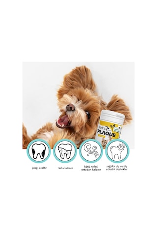 Vet's Health Plaqueclean Kedi Köpek Diş Taşı Tartar ve Plak Giderici 50 G