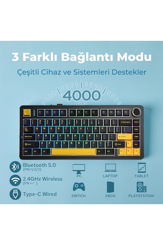 Aula F75 Mekanik Rgb Tkl Reaper Switch Kablosuz Makrolu Hot Swap Klavye Siyah