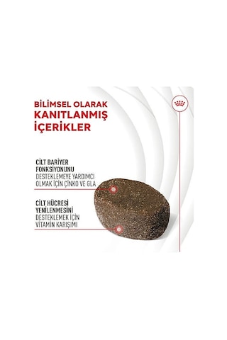 Royal Canin Skin & Coat Chews Deri Ve Tüy Sağlığını Destekleyen Yetişkin Köpek Ödül Maması 240gr