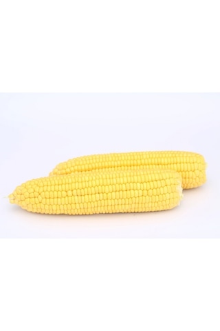 Tatlı Mısır Tohumu 25 GR Hibrit Şeker Mısır