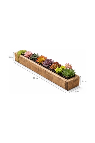 Doğal Ahşap Sukulent Bahçe Kutusu 50 Cm X 9 Cm X 9 Cm