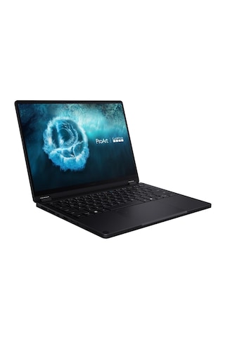 Asus Proart PX13 HN7306EAC-lX099W Amd Ryzen Aı Max+ 395 128 GB 1 TB SSD W11H Dizüstü Bilgisayar