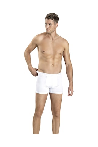 Jiber Erkek Modal Renkli Boxer 321 - 3 Adet 001