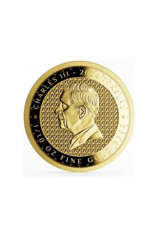 Agakulche Terra 2024 Altın Sikke Coin