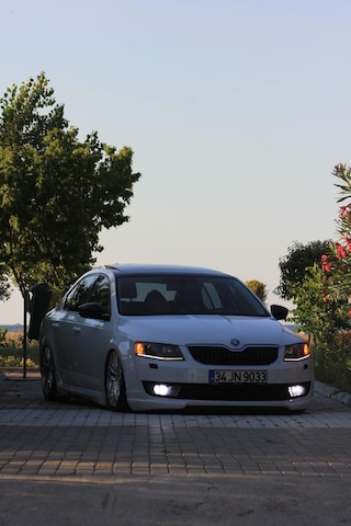 Skoda Octavia Plastik Yan Marşpiyel