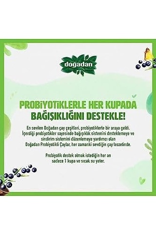 Doğadan Probiyotikli Yeşil Çay Açai Ananas 14lü X2
