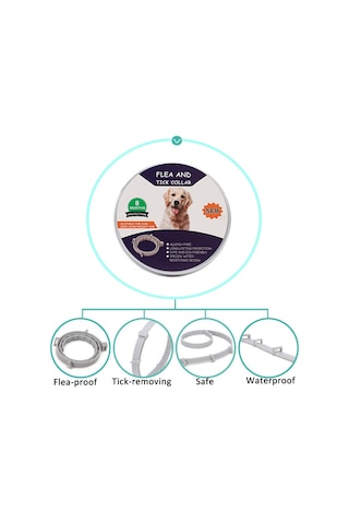 Pire Ve Kene Yaka Köpekler İçin Alüminyum Kasa İle Kediler, Boyut: 72cm Turuncu Çok Renkli