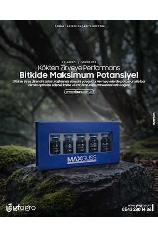 Yf Agro Maxguss 0.5 KG