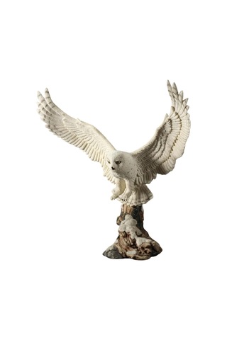 Uçan Beyaz Kar Baykuşu Biblosu