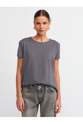 Dilvin Bisiklet Yaka Basic T-shirt-füme Füme
