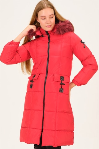 Dewberry Bayan Mont Z6706