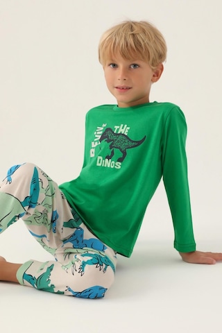 Roly Poly 3363 Revive Erkek Çocuk Pijama Takımı Yeşil