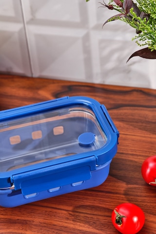 Emsan Smart 640 Ml Borosilikat Saklama Kabı Çok Renkli