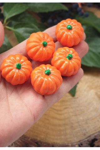 10 Lu Mini Balkabağı Dekor