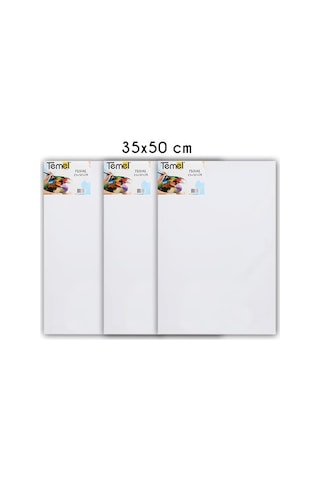 Temel 35x50 Cm 3 Lü Tuval