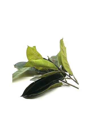 2 Dal Yapay Ficus Elasticos Kauçuk Ağacı Çiçeği 60 Cm Yeşil