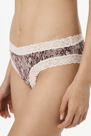 Penti Ekru Comfy Pamuklu Slip Külot