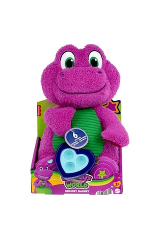 Fisher Price Barneys World Sensory Barney Peluş Oyuncak Hyg89 Mor - Yeşil