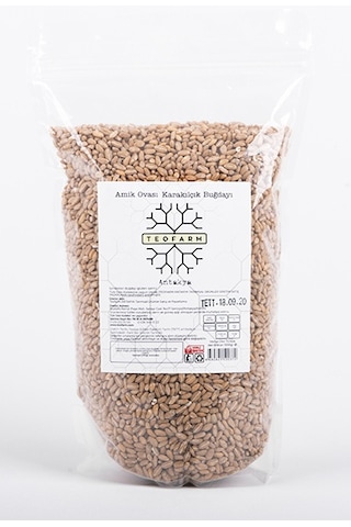 Teofarm Amik Ovası Karakılçık Buğdayı 1 KG