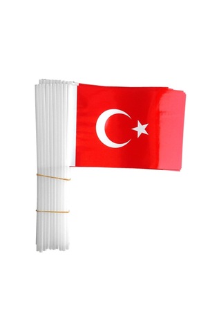 Sopalı Küçük Bayrak 80'li Diğer