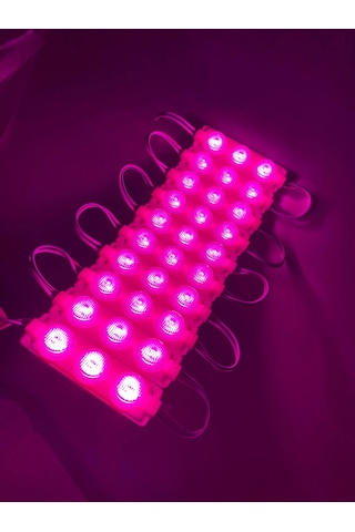 3 Ledli Modül Led Pembe 10 Adet