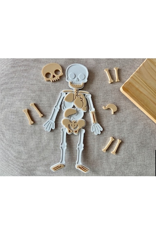 Montessori Eğitici İnsan Vücudu Yapbozu