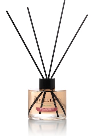 Paul David Bahar Esintisi Oda Kokusu 145 ML