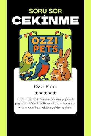 Hamster Keçe Yuva Ve Üçgen Oyun Tüneli - Doğal Malzeme, Konforlu Dinlenme & Eğlenceli Aktiv