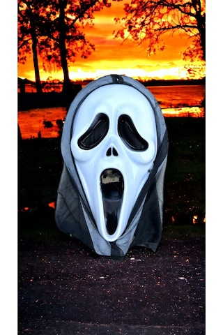Halloween Cadılar Bayramı Çığlık Maskesi Beyaz Diğer