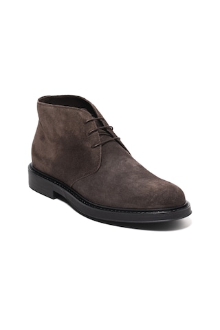 Cacao Dark Brown Oxford Klasik Erkek 1078 - Moss Dino Draghi Kahverengi