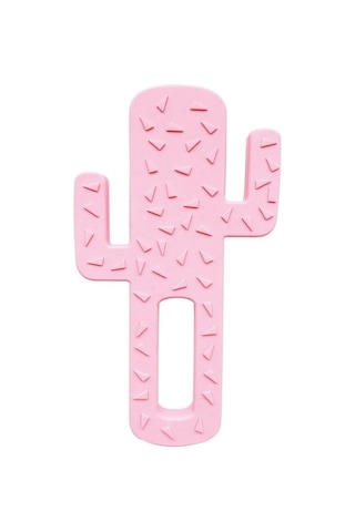 Oioi Diş Kaşıyıcı Kaktüs Pembe