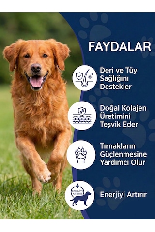Köpek Biotin Damla 50 Ml Sıvı Deri Ve Tüy Sağlığı Desteği