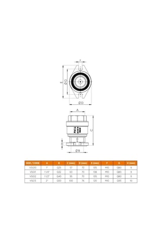 Oval Flanşlı-Glenli Çekvalf - 11 4''