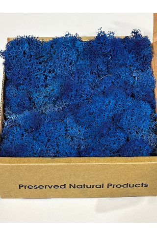 Reindermoss Şoklanmış Norveç Yosunu Terarium Yosunu Mavi 100 Gr.