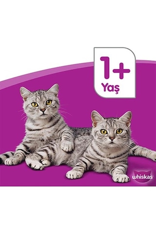 Whiskas Ton Balıklı Yaş Kedi Maması 85 Gr 24x